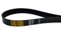 Ремень поликлиновой 8PK-1445 HIMPT